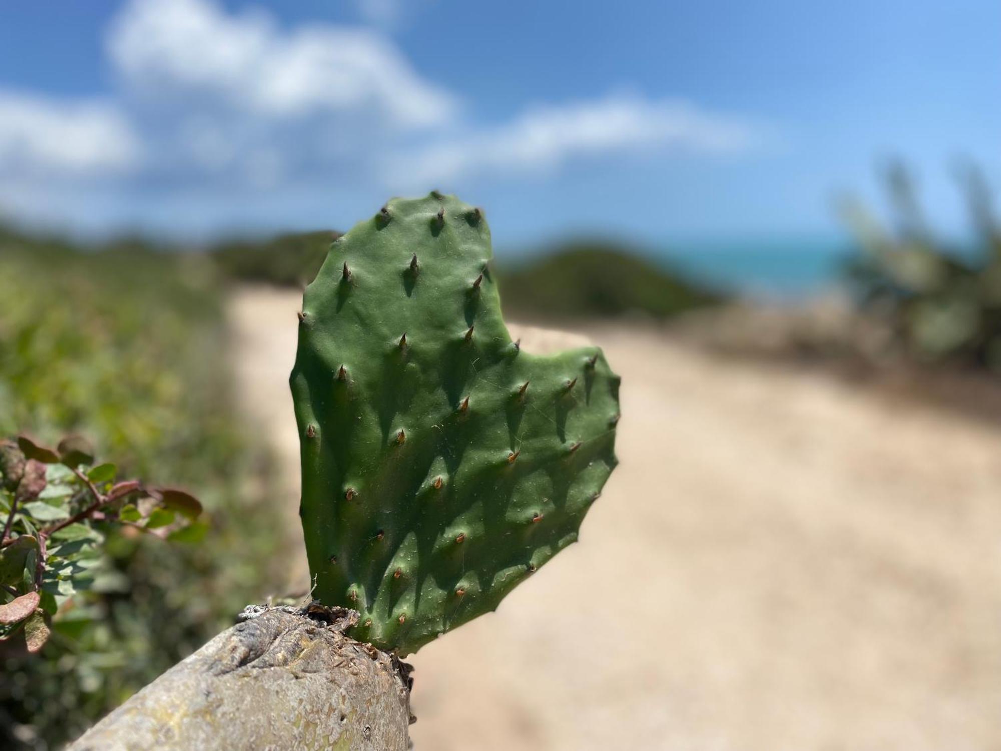 Ificumori, Campagna Ammare Villa Marina di Modica Eksteriør billede