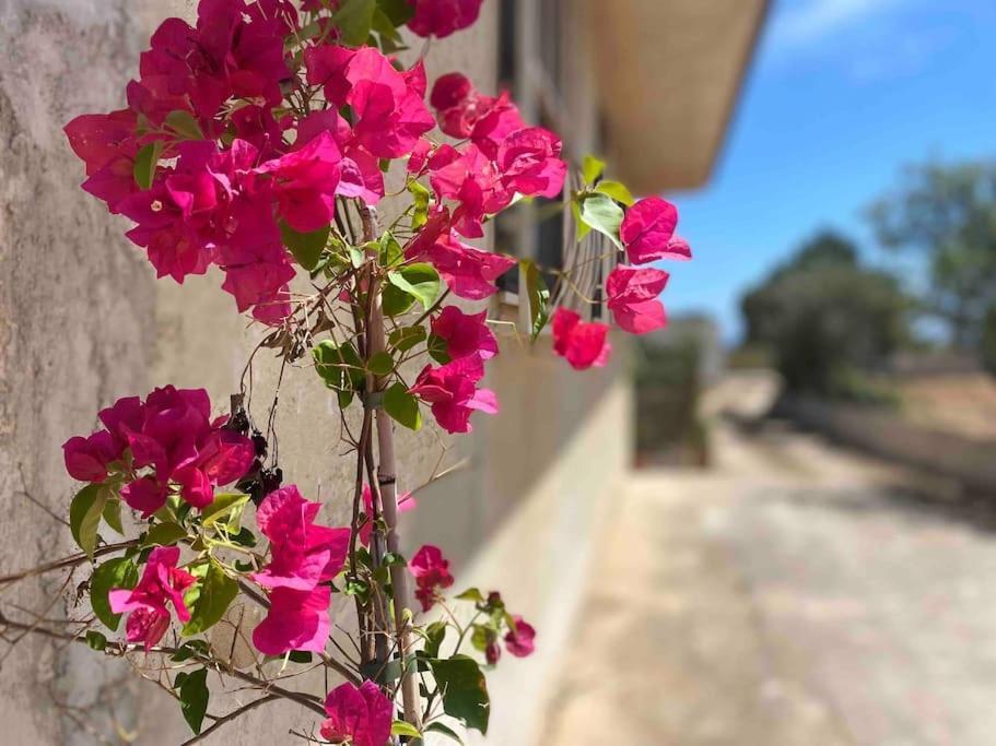 Ificumori, Campagna Ammare Villa Marina di Modica Eksteriør billede