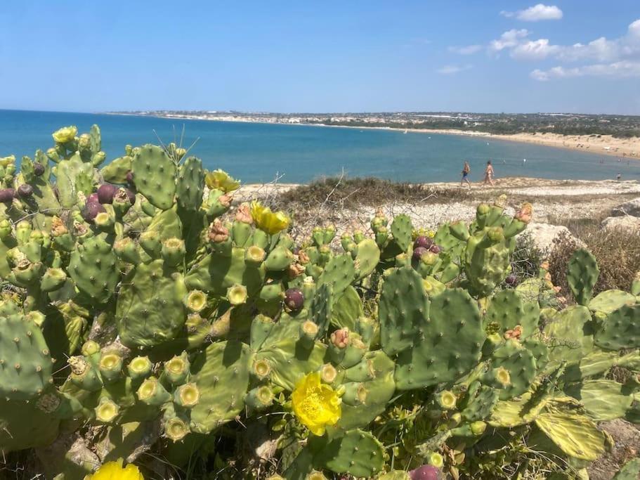 Ificumori, Campagna Ammare Villa Marina di Modica Eksteriør billede