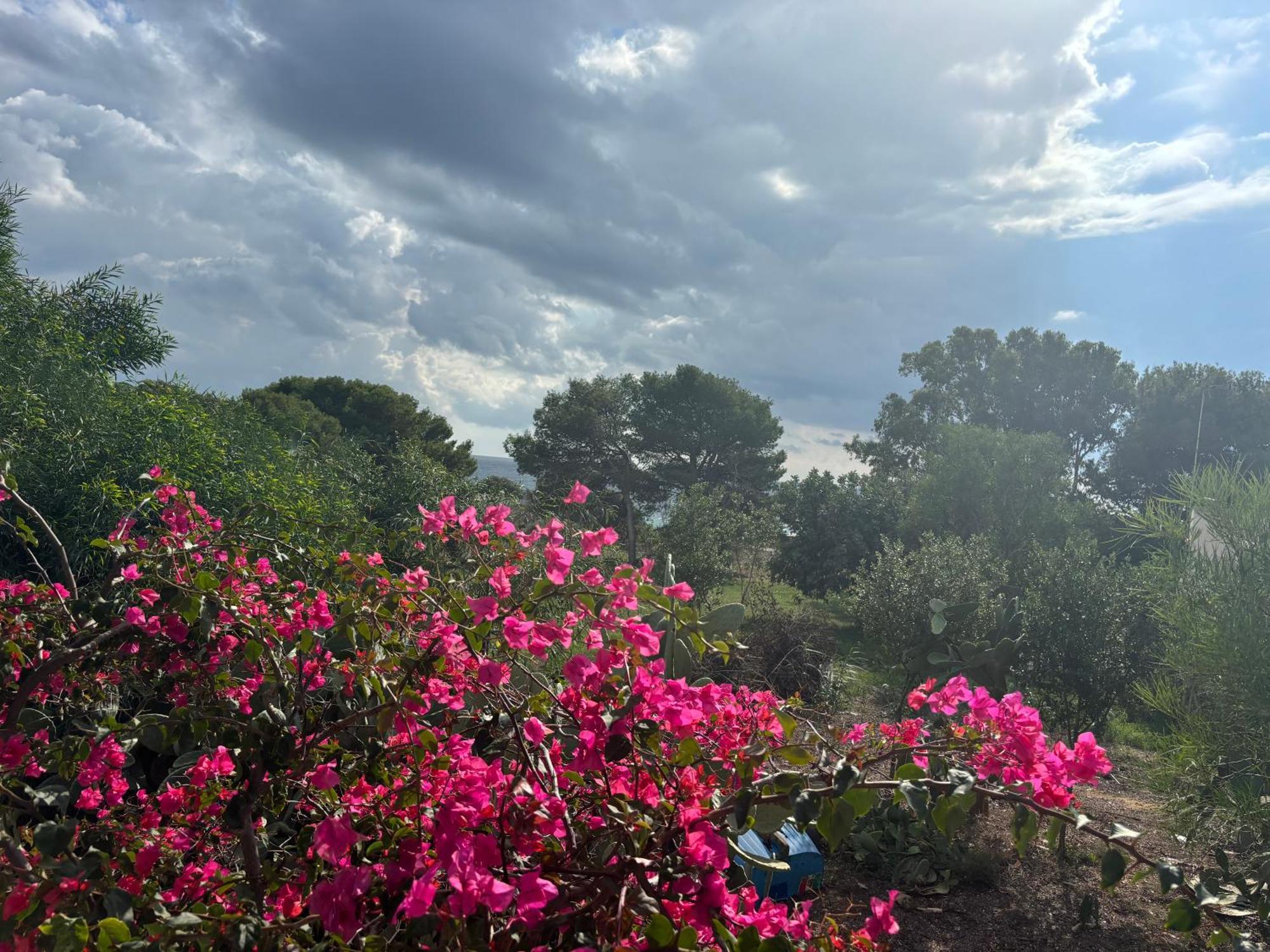 Ificumori, Campagna Ammare Villa Marina di Modica Eksteriør billede